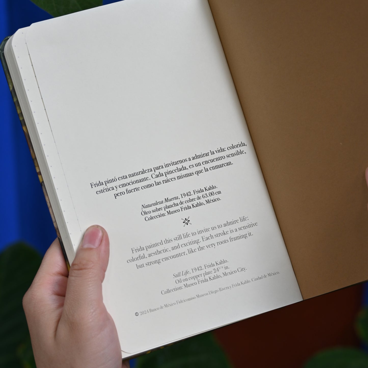Libreta Naturaleza Muerta