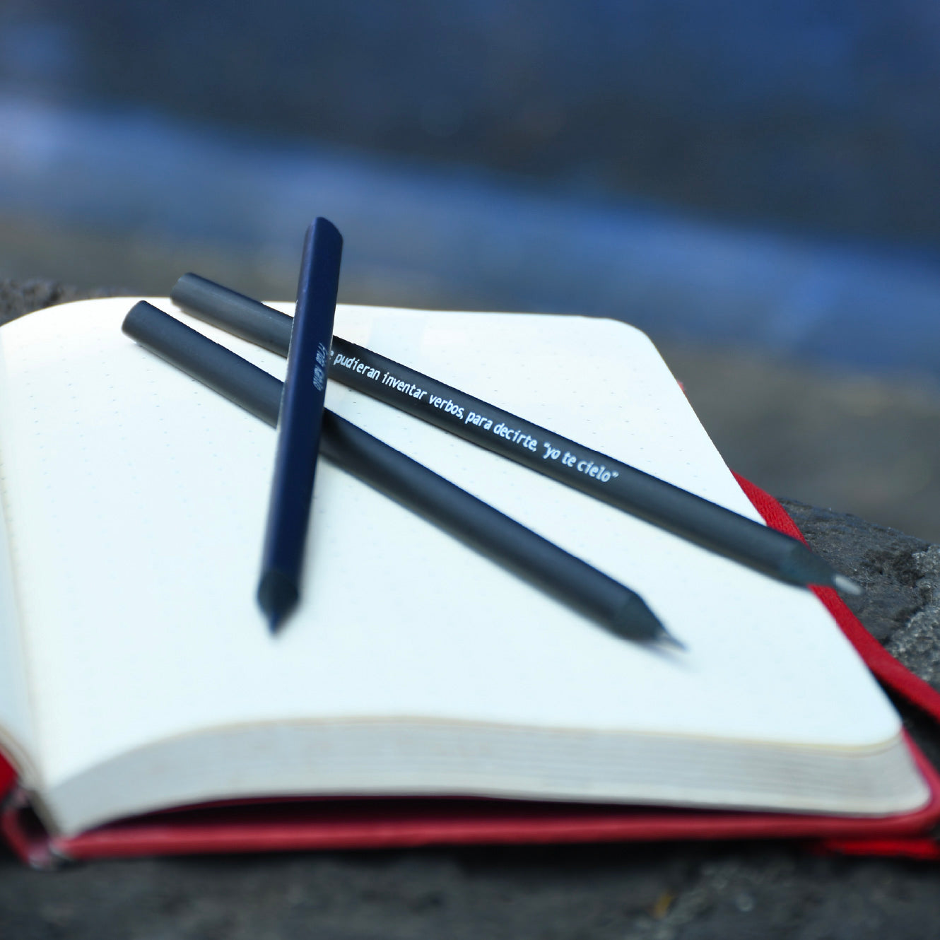 Black pencil with Frida Kahlo quotes